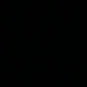 Meet your Posher, Ali